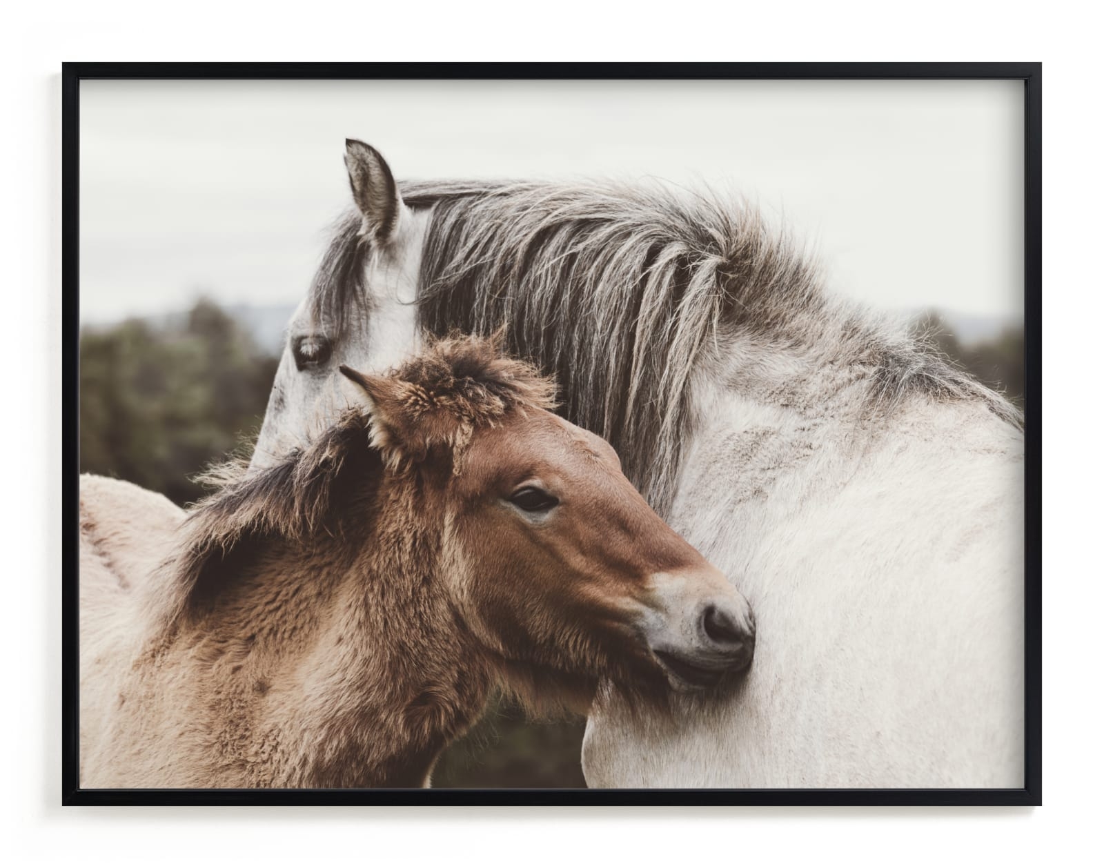 Nuzzle Limited Edition Fine Art Print 2 - Image 0