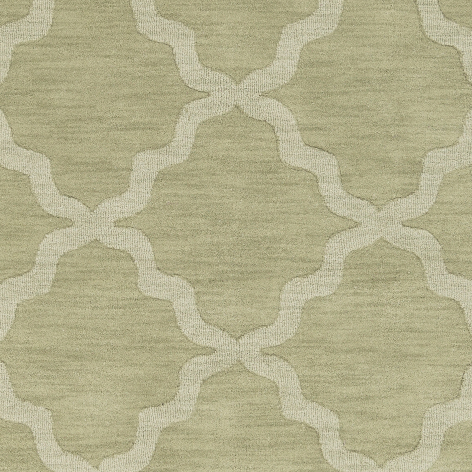 Central Park Beige Indoor 10' x 14' Handmade Rug - Image 5