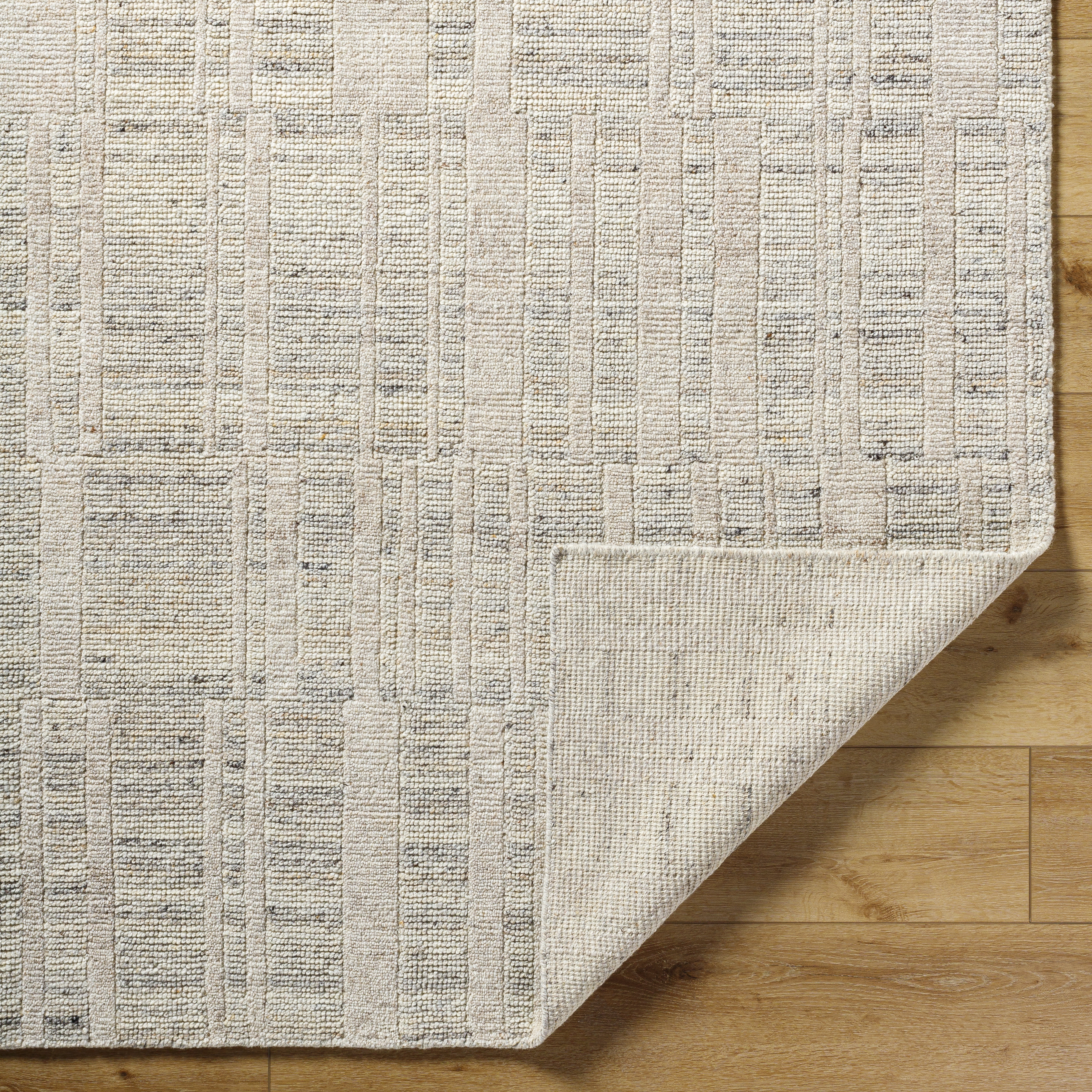 Knoxville Beige Indoor 10' x 14' Handmade Rug - Image 4