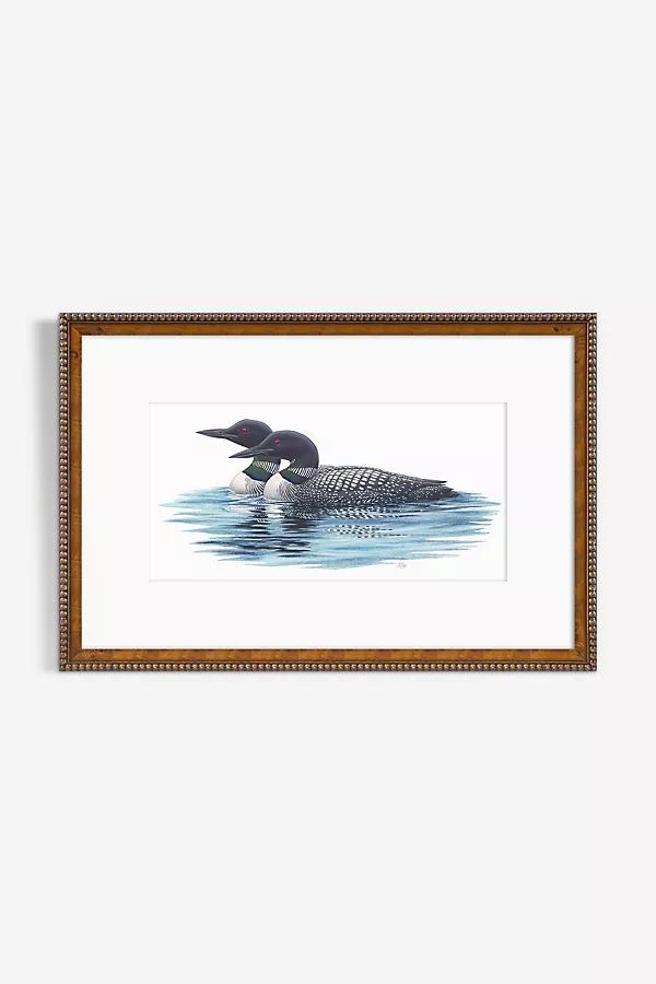 Pair of Common Loons Wall Art - Image 0