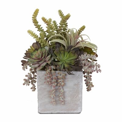 4 Artificial Succulent in Pot Set - Image 0