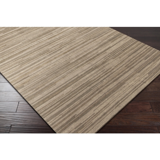 Gradience Beige Indoor 2' x 3' Handmade Rug - Image 1
