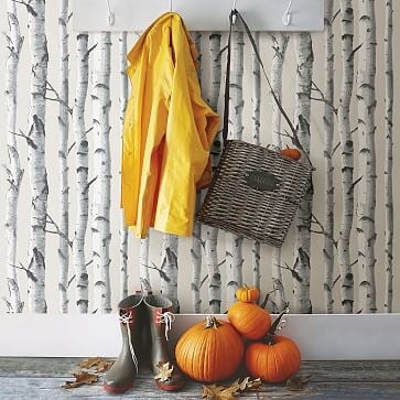Birch Tree Peel & Stick Wallpaper - Image 1