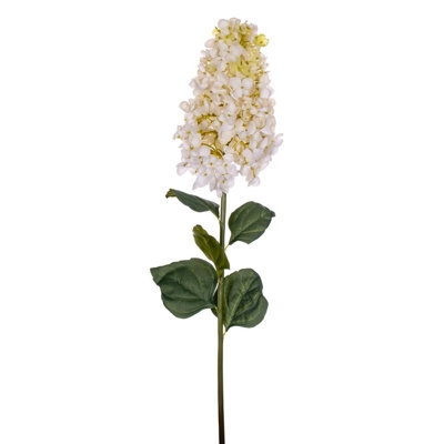 Hydrangea Stem - Image 0
