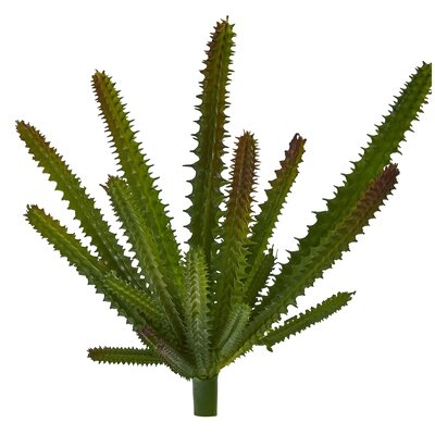 Artificial Cactus Succulent - Image 0
