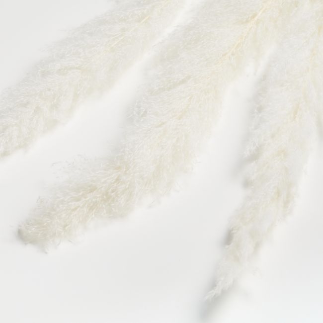 Bleached Grass Plume Dried Botanicals - Image 0