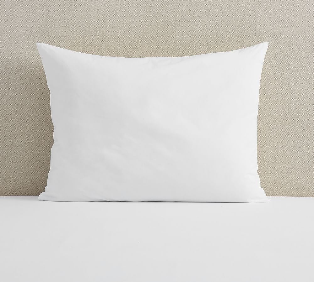Oversized Feather Pillow Insert, Set of 2 - Image 0