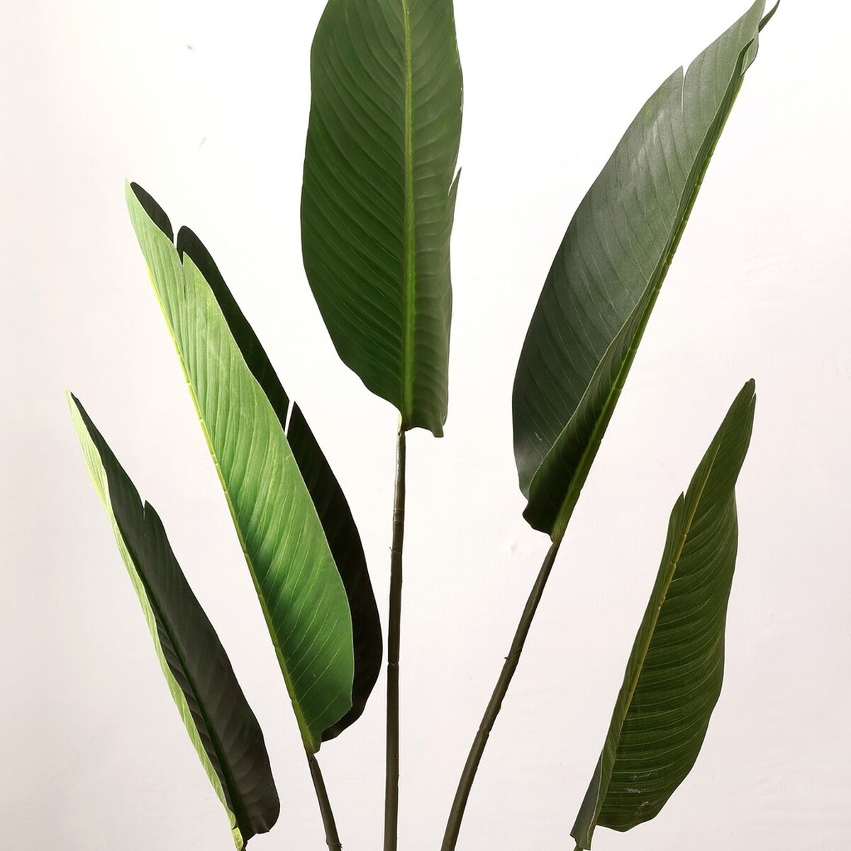 Safavieh Faux 48" Potted Gladiolus Tree - Image 3