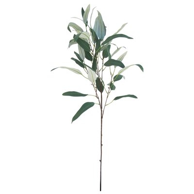 38" Artificial Eucalyptus Branch (Set of 2) - Image 0