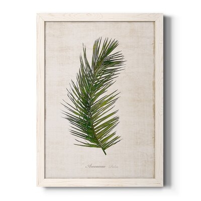 41006-Palm Botanical II-Premium Framed Canvas - Ready To Hang - Image 0