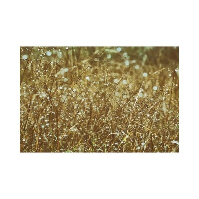 Dew On Grasses by Aledanda - Wrapped Canvas Photograph - Image 0