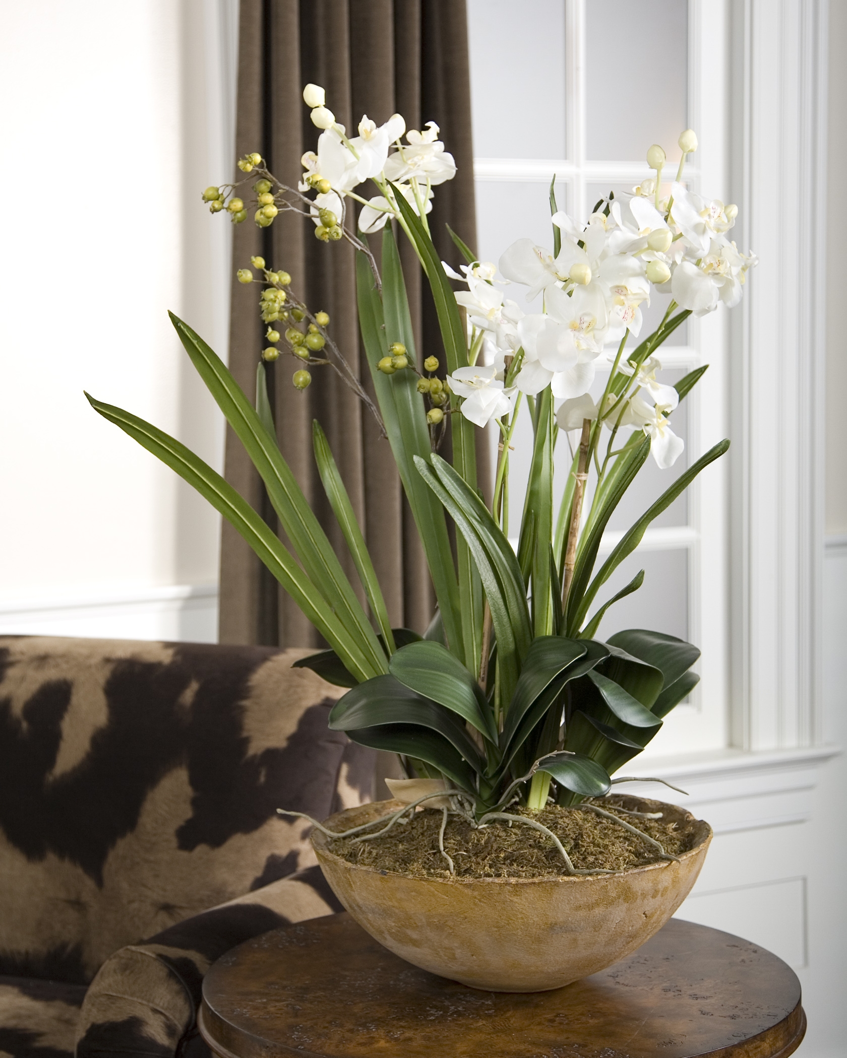 Moth Orchid Planter - Image 2