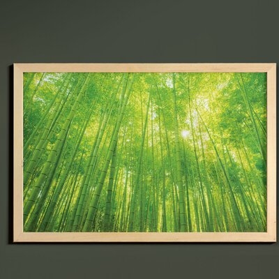 Ambesonne Bamboo Print Wall Art With Frame, Image Of Bamboo Trees With Sun Rays In Rainforest Exotic Wildlife Plants Nature, Printed Fabric Poster For Bathroom Living Room Dorms, 35" X 23", Green - Image 0