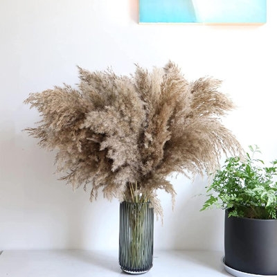 Dried Pampas Grass Decor 18'' - Pompous Grass 30Pcs - Pompas Grass - Small Pampas Grass - Pompass Grass - Short Pampas Grass - Fluffy Pampas Grass – Pampus Grass – Pompas Floral – Pampass – Pompass - Image 0
