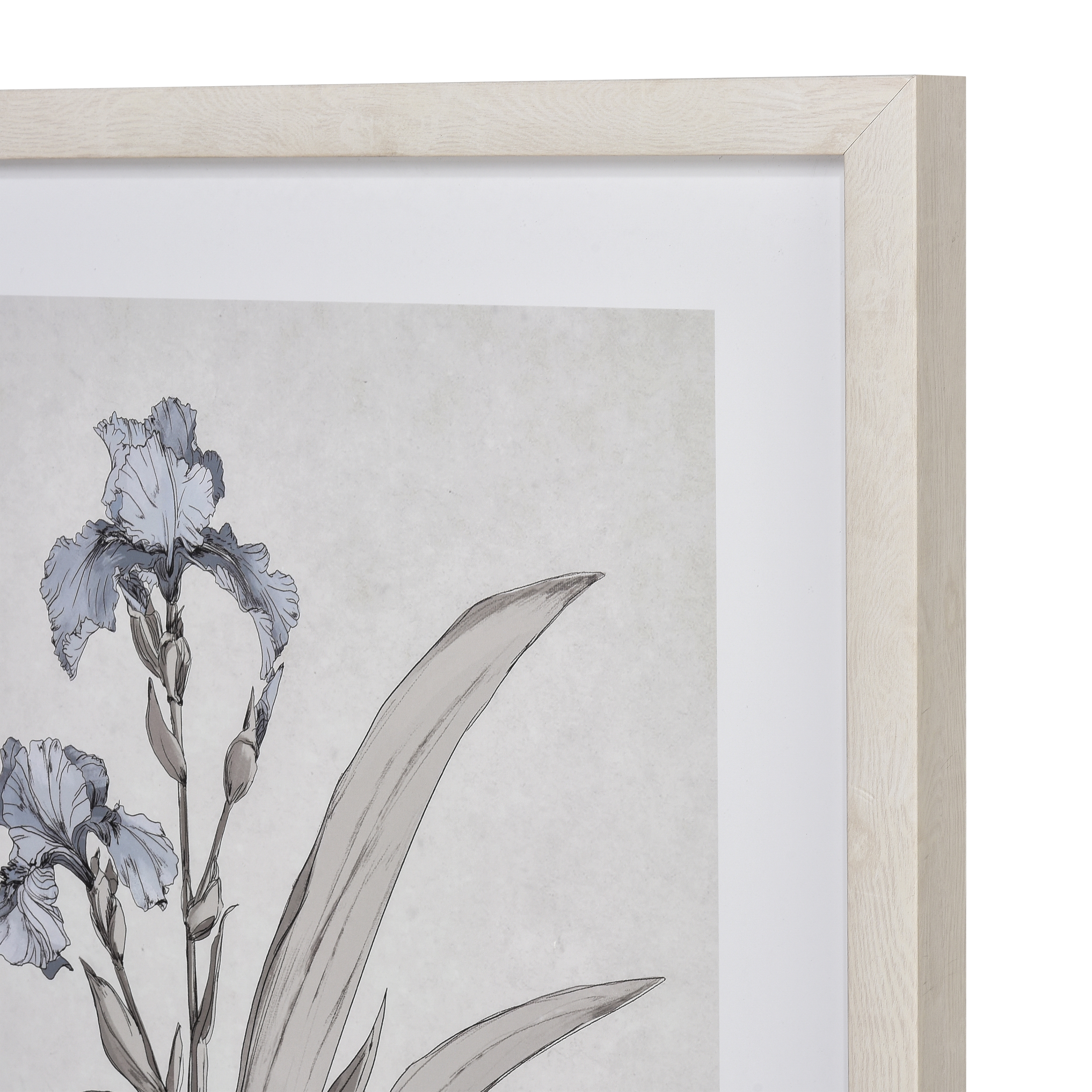 Iris Botanic Framed Wall Art - Image 3