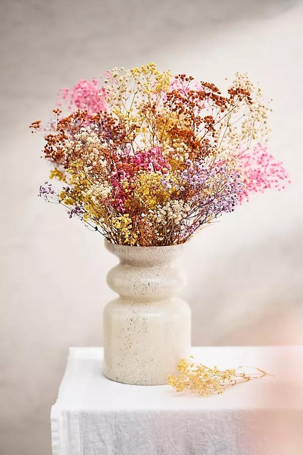 Dried Rainbow Gypsophila Bunch - Image 0