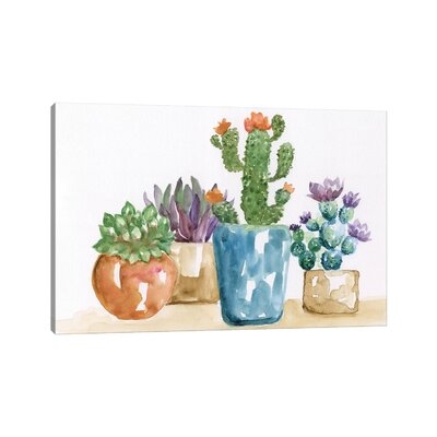 Summer Succulents II by Nan - Wrapped Canvas Painting Print - Image 0