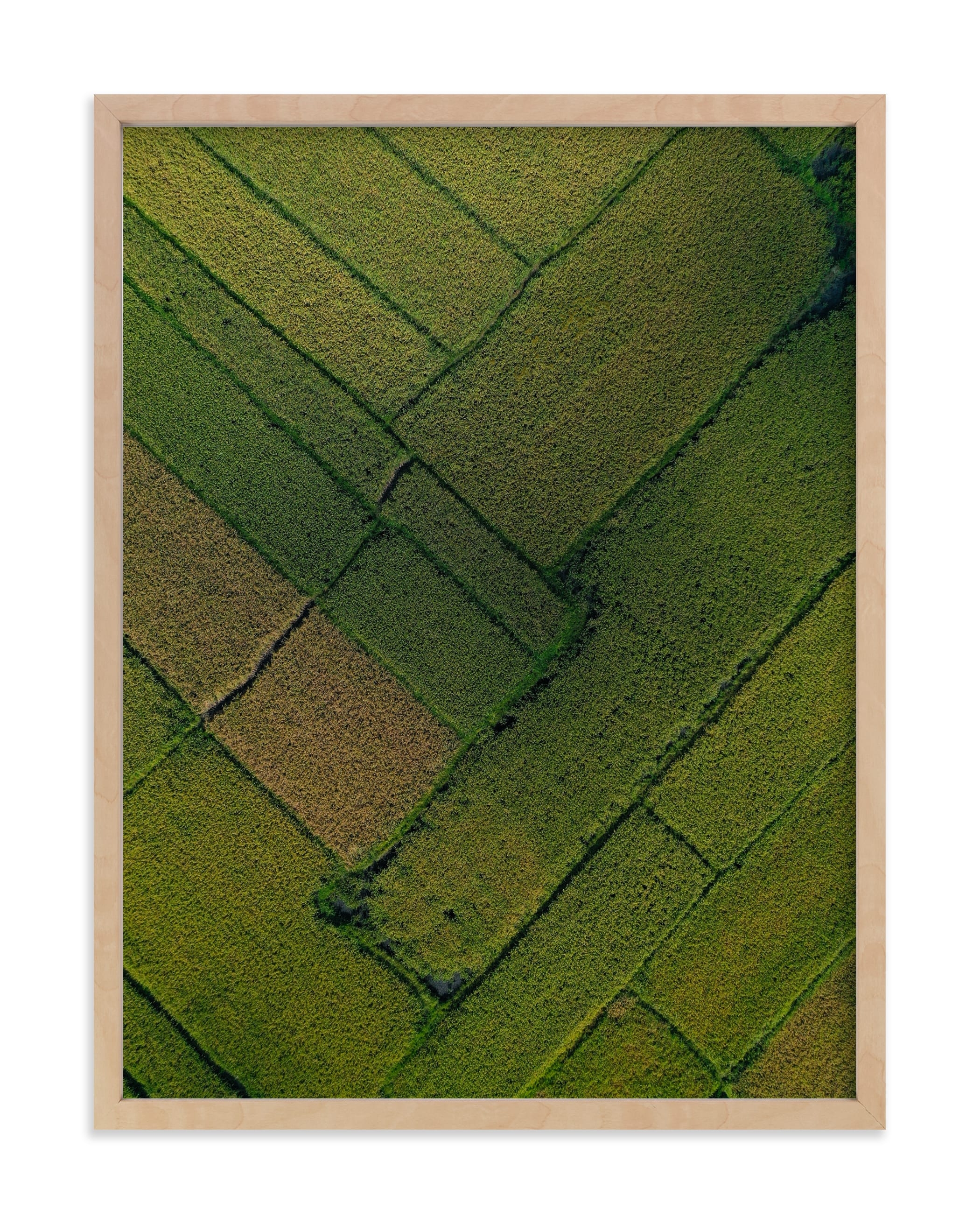 Above The Paddy Limited Edition Fine Art Print 2 - Image 0