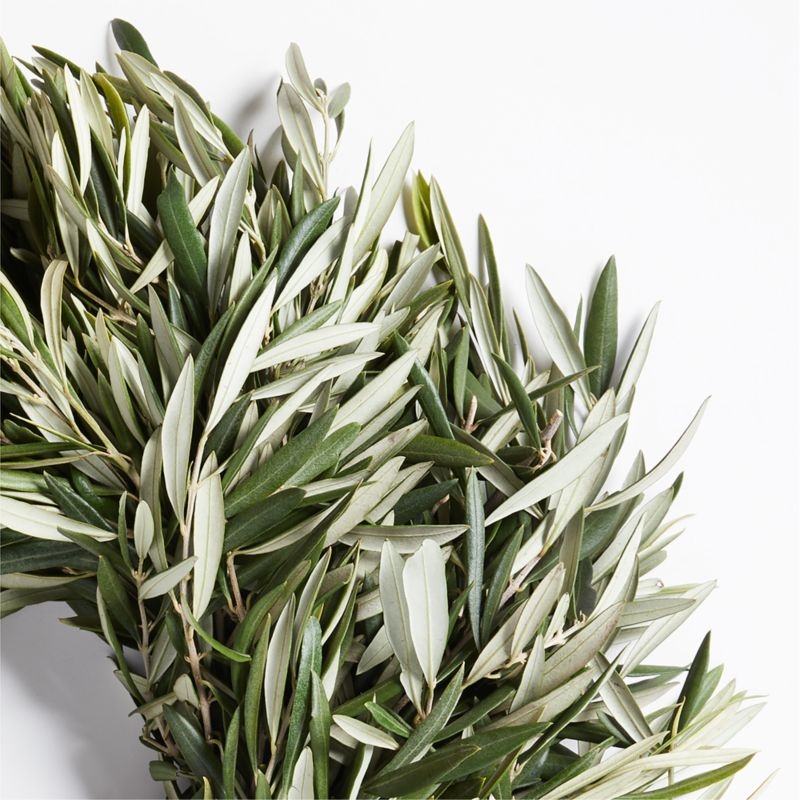 Live Olive Wreath 20" - Image 2