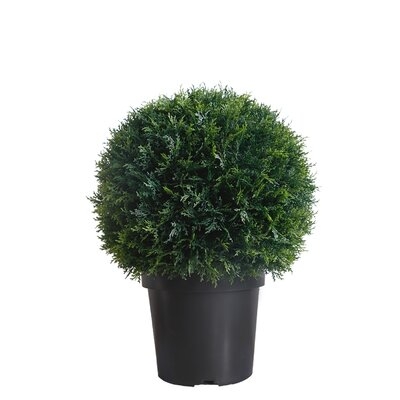 Artificial Deep Green Color Cypress Ball In Pot 21"Hight And 15.5" Diameter - Image 0
