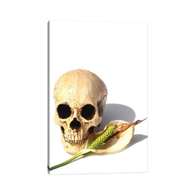 Skull & Peace Lily by Jonathan Brooks - Wrapped Canvas Gallery-Wrapped Canvas Giclée - Image 0