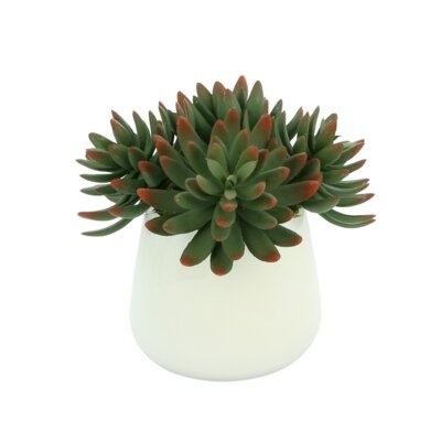 3.5'' Artificial Succulent Plant in Pot - Image 0