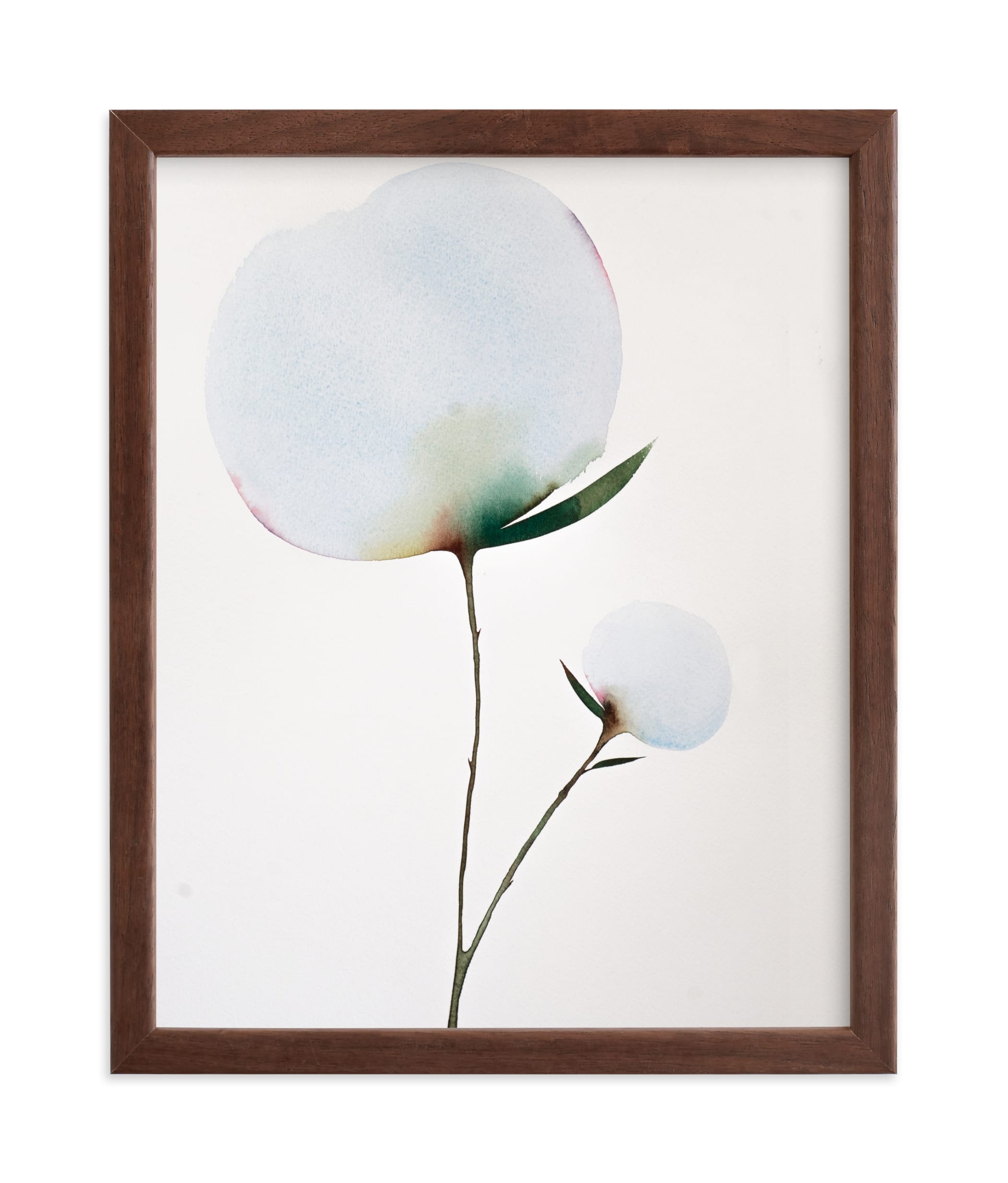 Paran Bloom 01 Limited Edition Fine Art Print 1 - Image 0