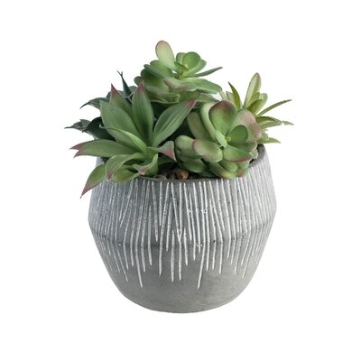 4.75'' Artificial Succulent in Pot ( 8.75'' H x 8.5'' W x 8.5'' D) - Image 0