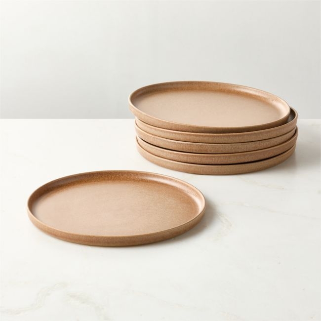 Drift Tan Dinner Plates with Reactive Glaze Set of 6 - Image 0