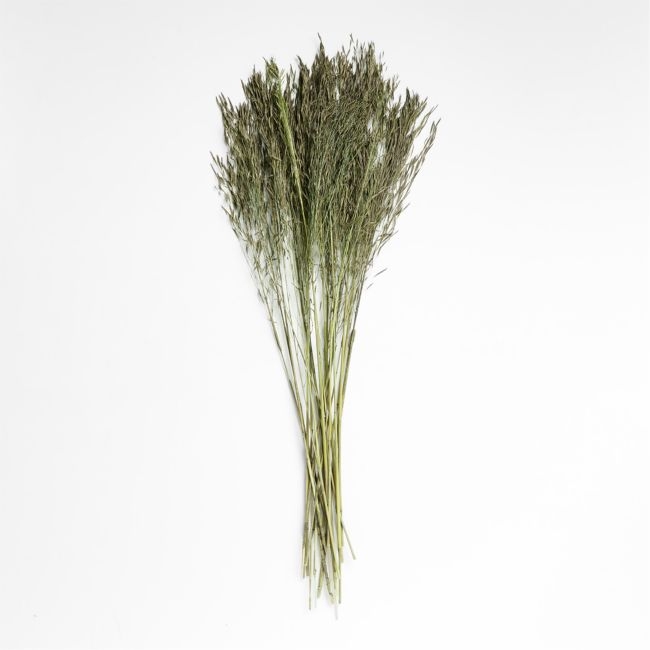 Sage Green Chorao Decorative Dried Grass Bunch - Image 0