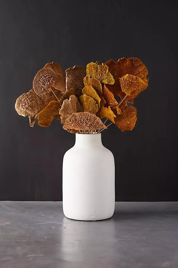 Preserved Mushroom Stems, Set of 3 - Image 0