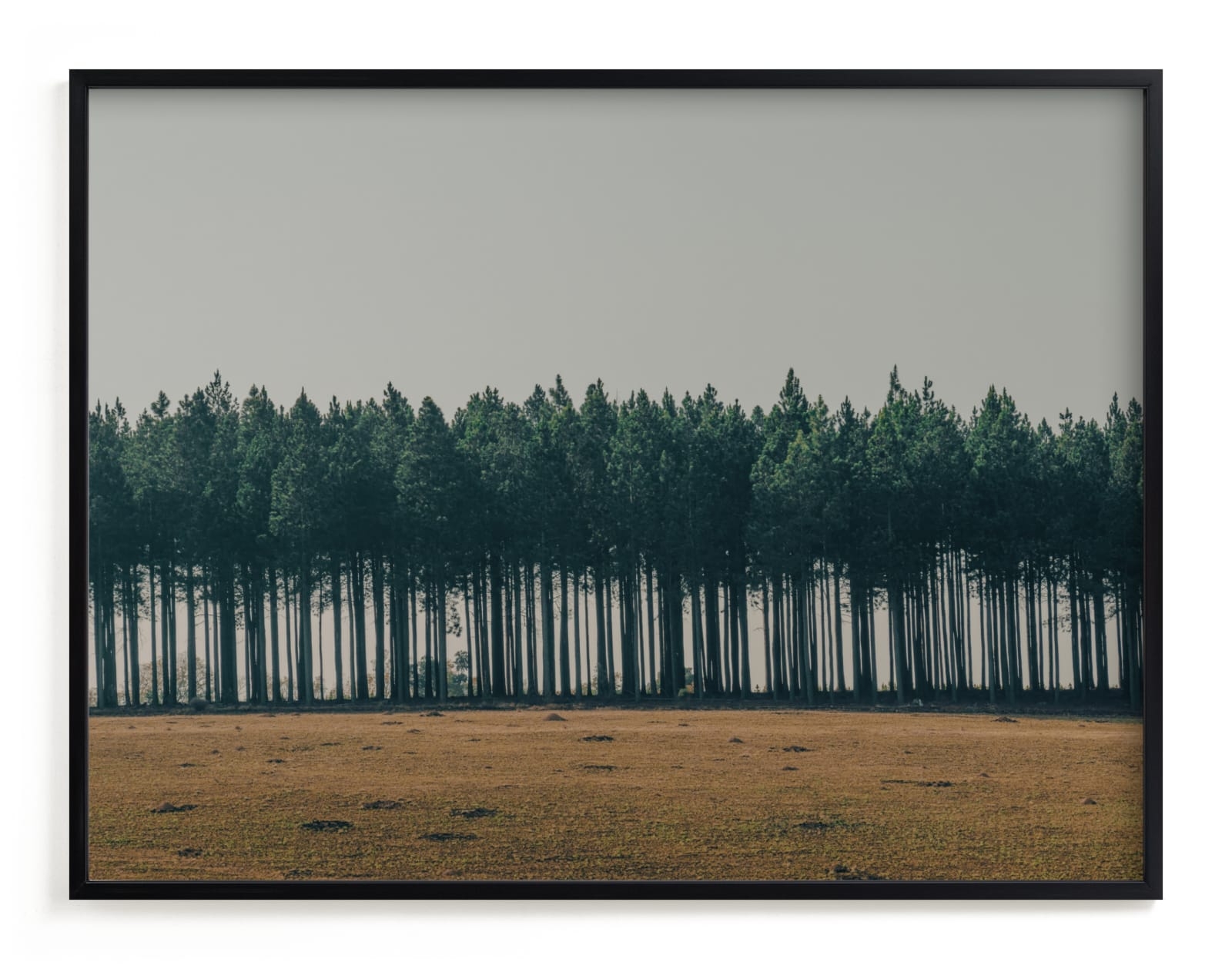 Moody Trees Limited Edition Fine Art Print 2 - Image 0