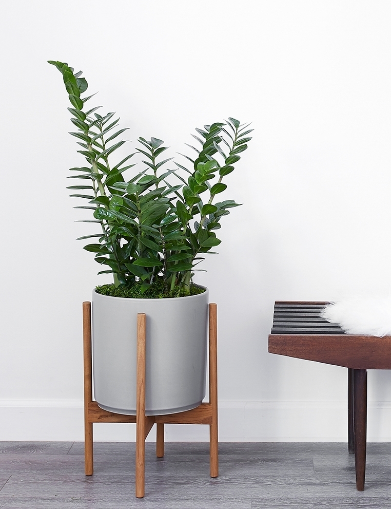 Ceramic Planter Pot by LBE Design - Image 0