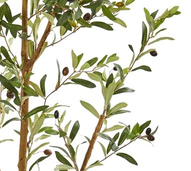 Faux Olive Tree, 6.5' - Image 1
