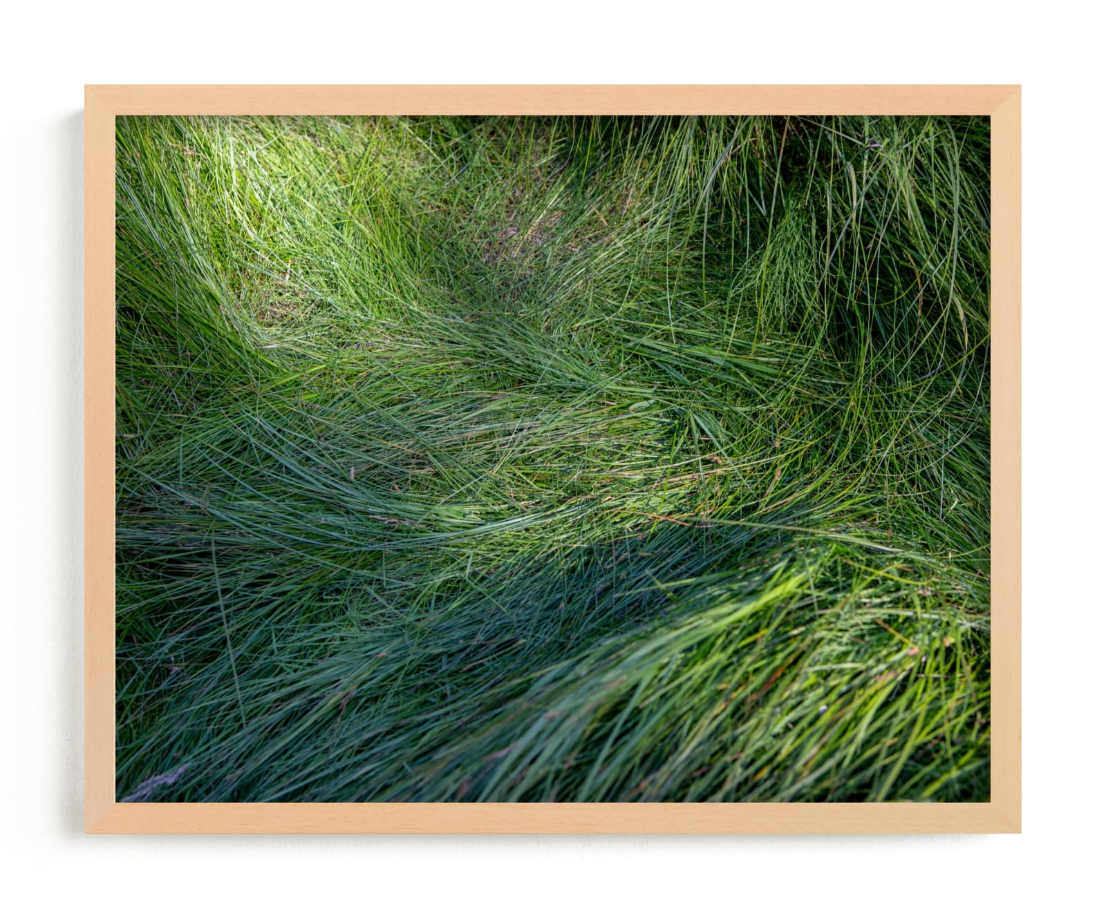 A Deer Slept Here. Limited Edition Fine Art Print 2 - Image 0