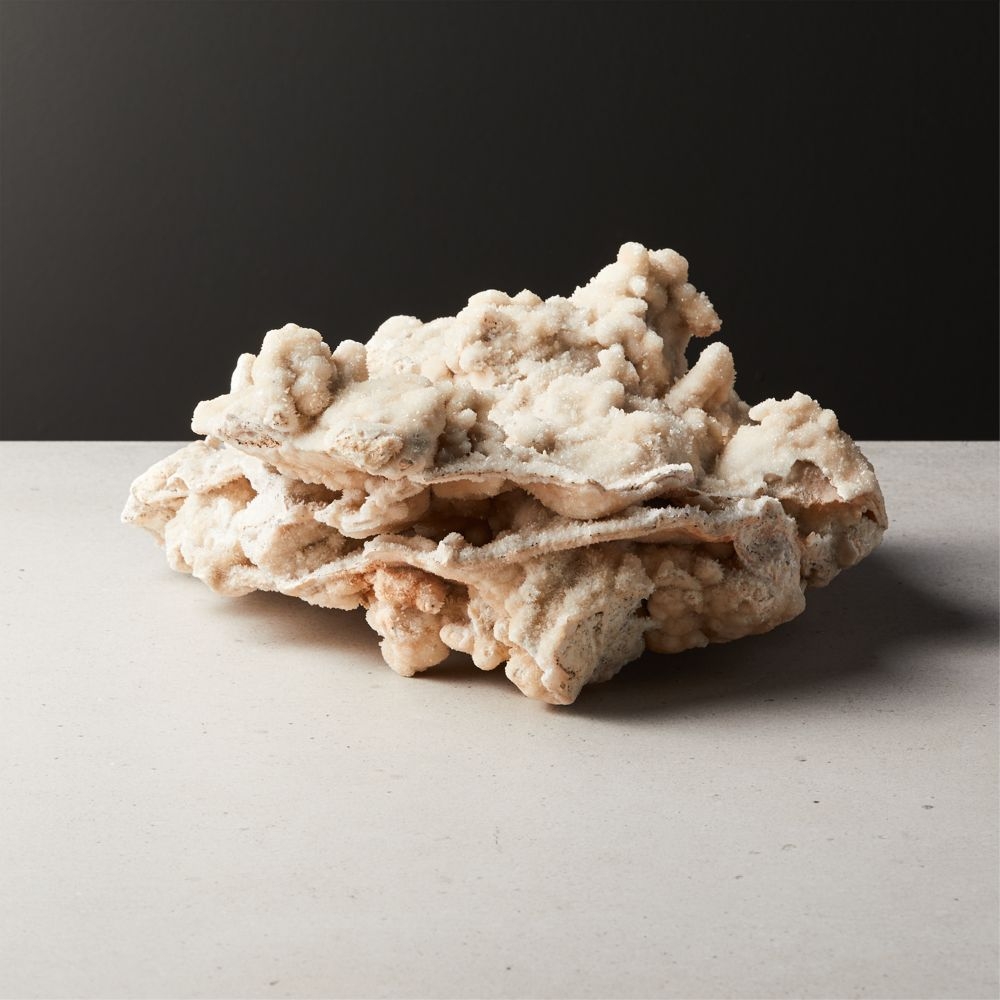 Mountain Coral Object Ivory - Image 0