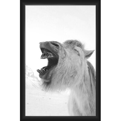Ebern Designs A Horse Laughing Wall Decor - Image 0