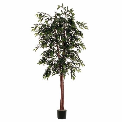 66" Floor Ficus Tree in Planter - Image 0