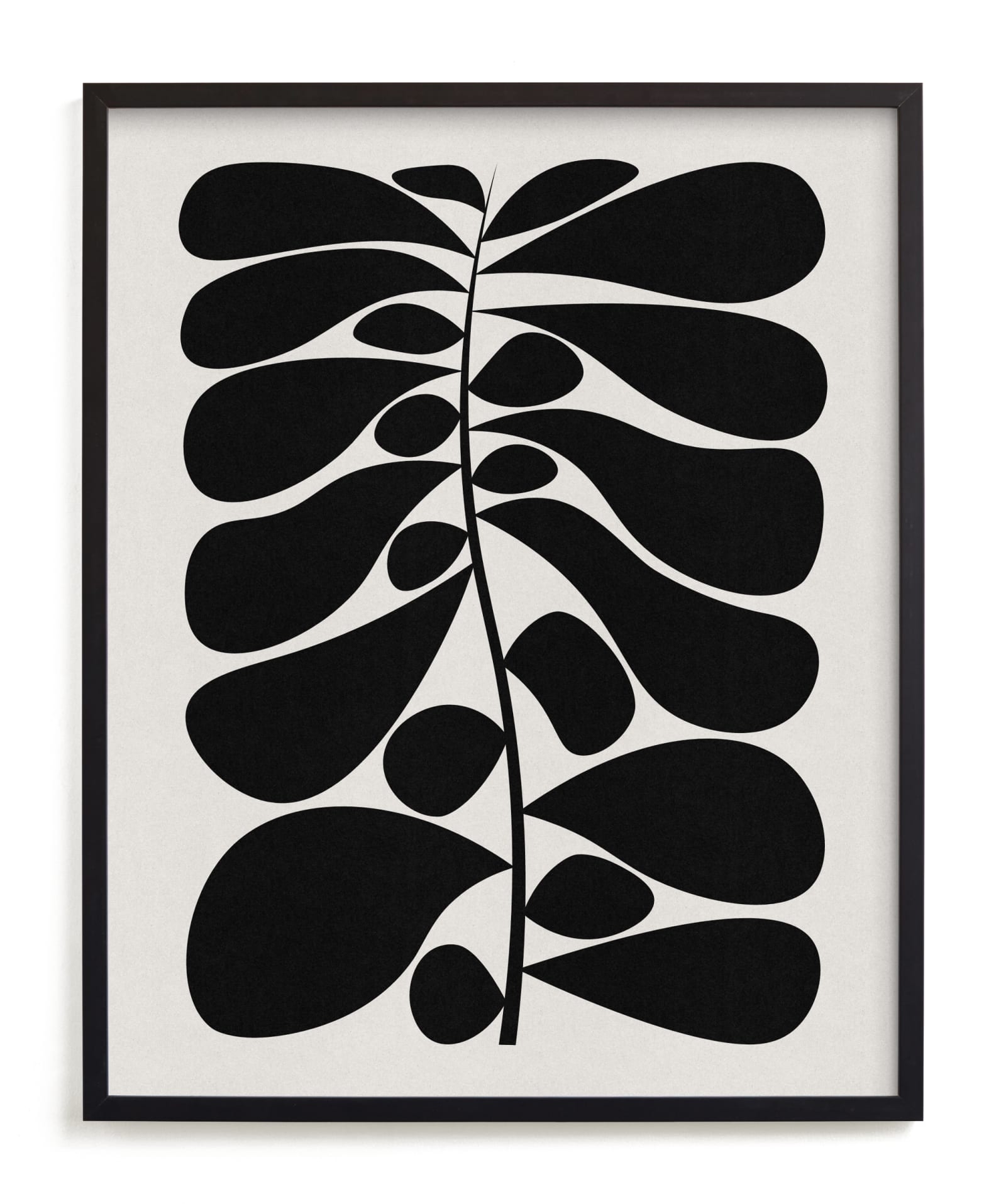 Black Plant I Limited Edition Fine Art Print 2 - Image 0