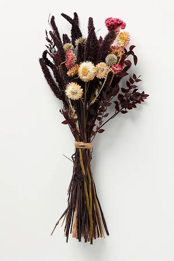 Gather Dried Bouquet By Anthropologie in Purple - Image 0