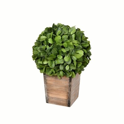 Artificial Boxwood Topiary in Pot - Image 0