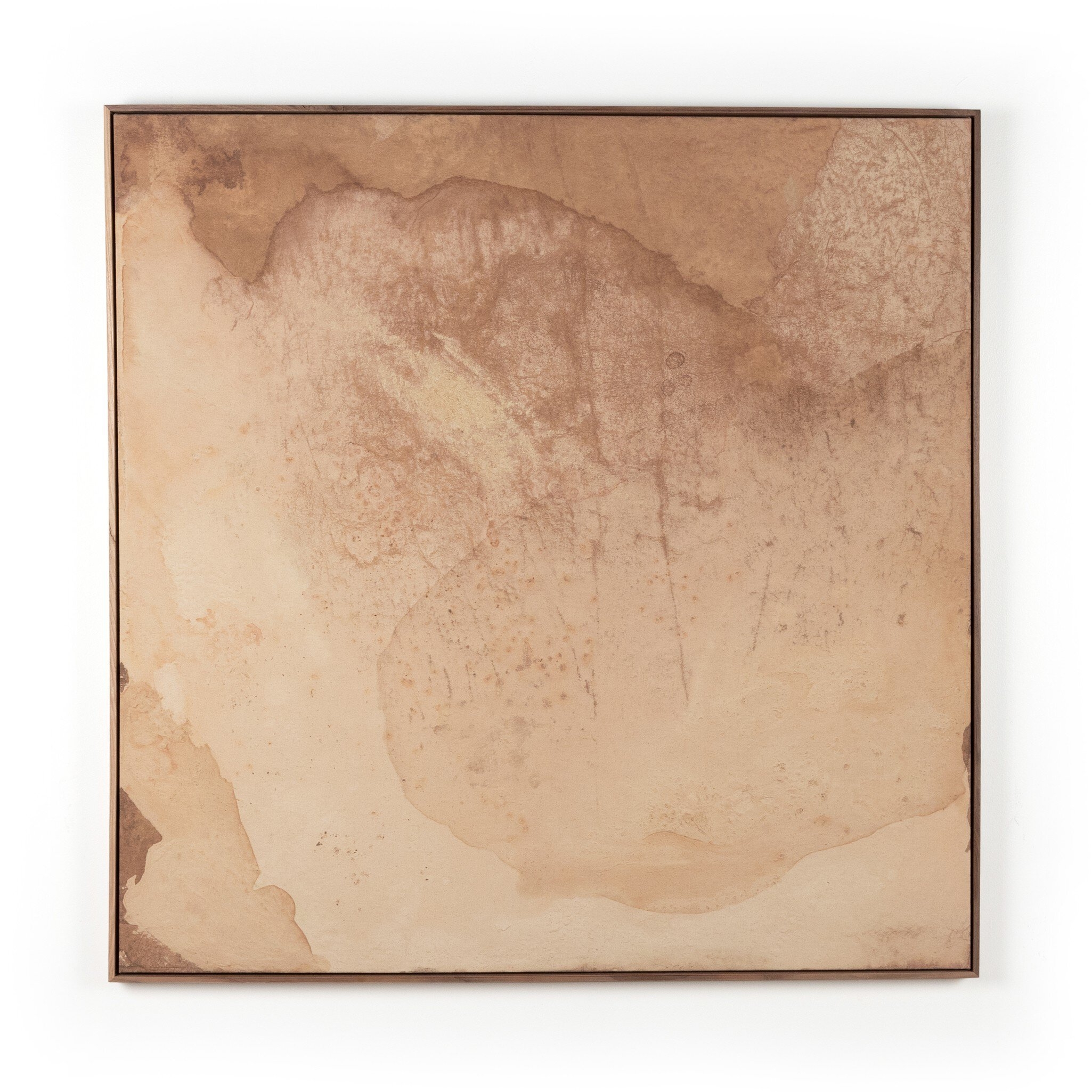 Unforeseen Beauty by Molly Supplee - Rustic Walnut Floater - Image 0
