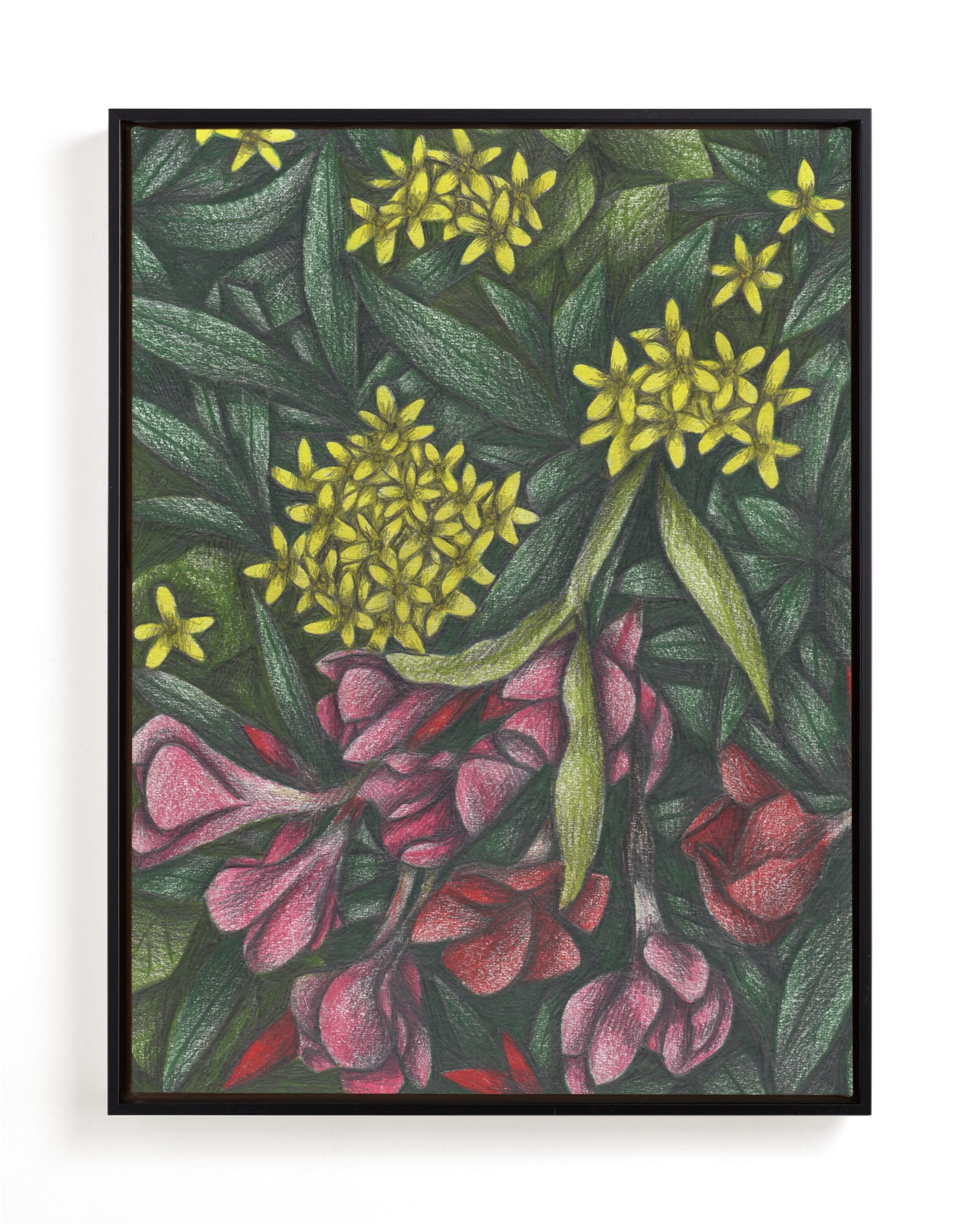 Mediterranean Bush Limited Edition Fine Art Print 2 - Image 0