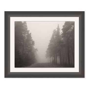 Foggy Forest, Medium - Image 1