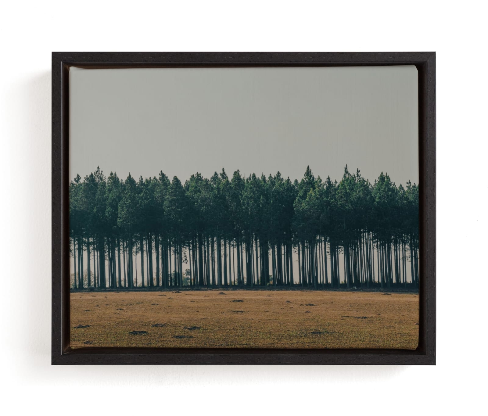 Moody Trees Limited Edition Fine Art Print 2 - Image 0