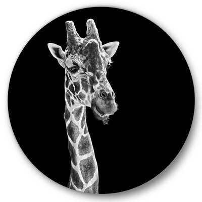 Close Up Portrait Of A Giraffe II - Farmhouse Metal Circle Wall Art - Image 0