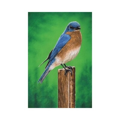 Eastern Bluebird by Mikhail Vedernikov - Wrapped Canvas Gallery-Wrapped Canvas Giclée - Image 0