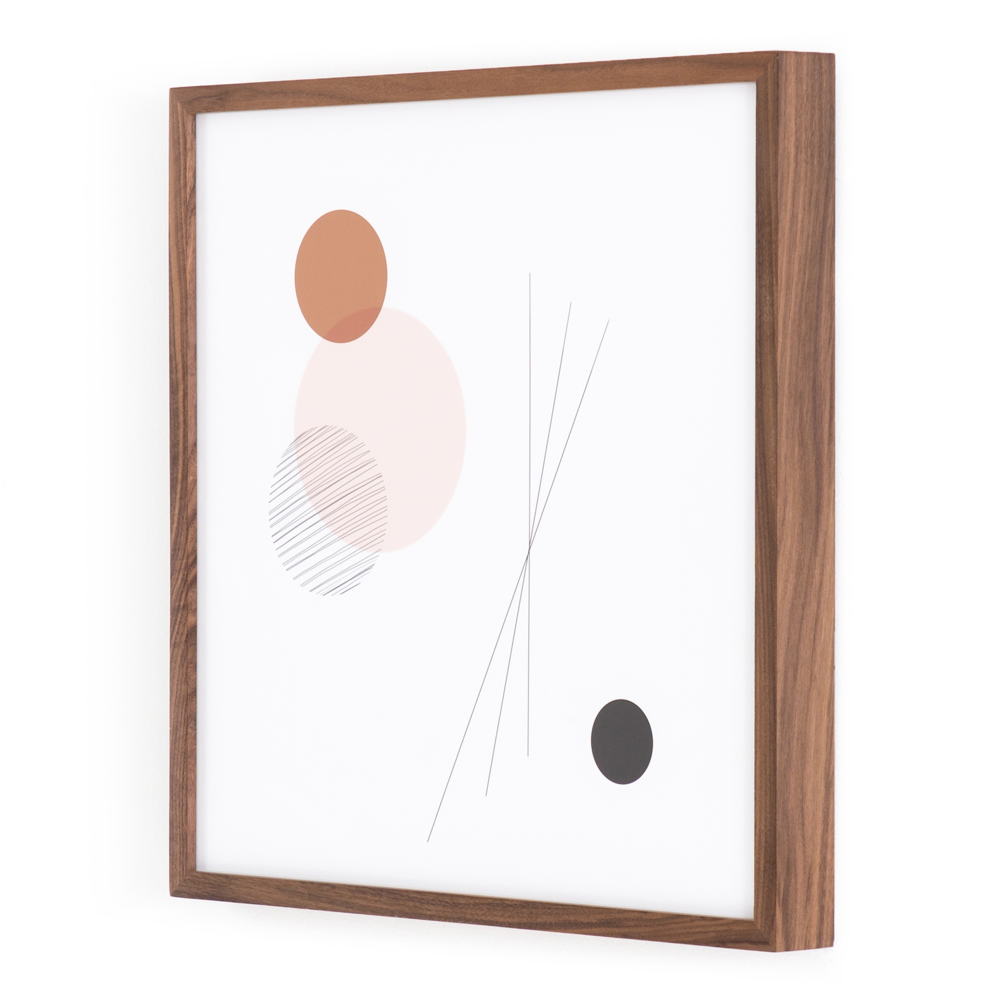 Natural Curiosities by Jess Engle, Singles - Walnut 2.5 - Image 1