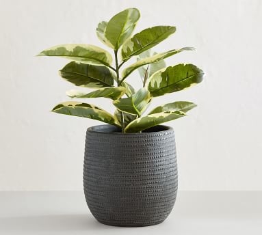 Cosgrove Ceramic Planter, Medium, Charcoal - Image 1