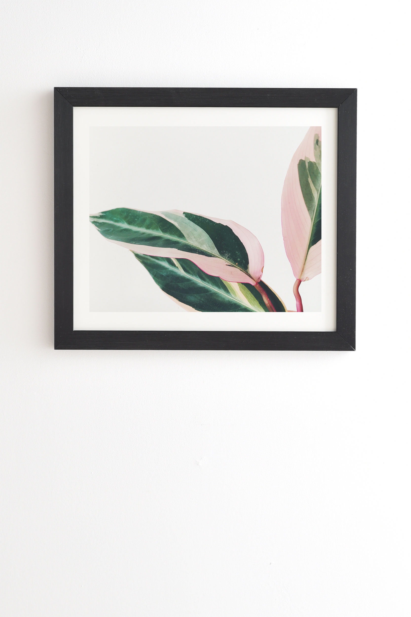 Pink Leaves Ii by Cassia Beck - Framed Wall Art Basic Black 20" x 20" - Image 0